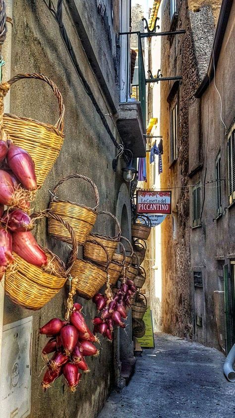 Passeggiando per Tropea #Calabria foto di Roberto Lorenzo - Pagina fb https://www.facebook.com/robertolorenzo.photography/ La cipolla rossa di Tropea, con marchio IGP, è prodotta prevalentemente tra Briatico e Capo Vaticano, ma la coltivazione si estende nel territorio che va da Nicotera ad Amantea. Il gusto è determinato in particolare dalla consistente presenza di zuccheri tra i quali glucosio, fruttosio, saccarosio. È composta da varie tuniche concentriche carnose di colorito bianco e con Italy Pictures, Positano Italy, Calabria, Old City, Sardinia, Travel Around The World, Travel Around, Places Ive Been, Italy