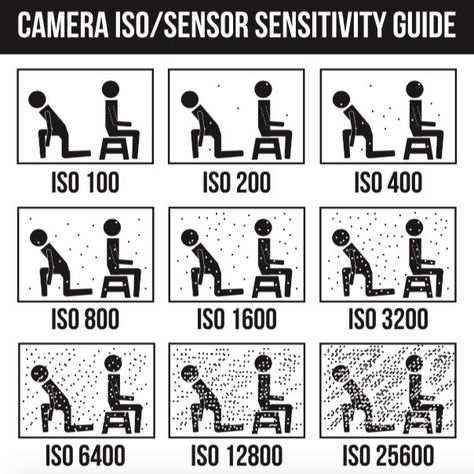 What is ISO? Digital Camera Settings Explained Iso Photography, What Is Iso, Cheer Hair, Travel Vlog, February 13, Digital Photography, Cinematography, Book Design, Filmmaking