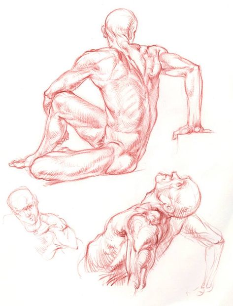 Glenn Vilppu Drawing, Vilppu Drawing, Glenn Vilppu, Anatomy Practice, Anatomy Sculpture, Human Figure Sketches, Graphite Art, Human Anatomy Drawing, Master Drawing