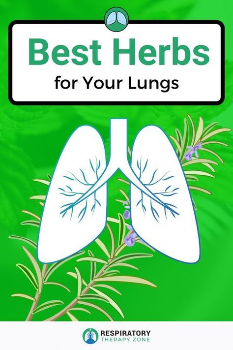 Herbs For Lung Health, Clear Mucus, Clear Lungs, Lung Cleanse, Asthma Remedies, Lung Health, Healthy Lungs, Lungs Health, Healthy Herbs