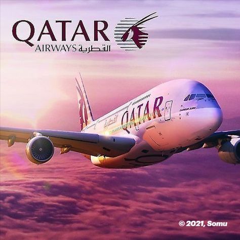 Qatar Airways Cabin Crew, Air India Flight, Travel Advertising Design, Qatar Travel, Airline Jobs, Pilots Aviation, Travel Advertising, Airline Logo, Airplane Photography