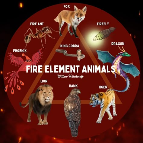 Animals Associated With Fire Element, Elements As Animals, Animals In Witchcraft, Druidic Animals, Aries Spirit Animal, Elements Witchcraft, Animal Omens, Element Animals, Elemental Animals