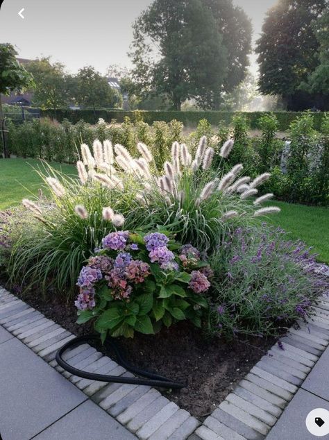 Landscape For White House, Landscape Garden Ideas, Back Garden Design, Front Yard Garden Design, Rock Garden Landscaping, Have Inspiration, Outdoor Gardens Design, Backyard Garden Design, Landscape Garden