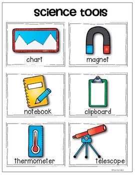 Science Tools {Vocabulary Cards and Anchor Chart Pack} for Young Scientists! Science Tools Anchor Chart, Science Tools Activities, Tools Vocabulary, Free Science Printables, Science Word Wall, Science Anchor Charts, Preschool Science Activities, Science Experiments For Preschoolers, 1st Grade Science