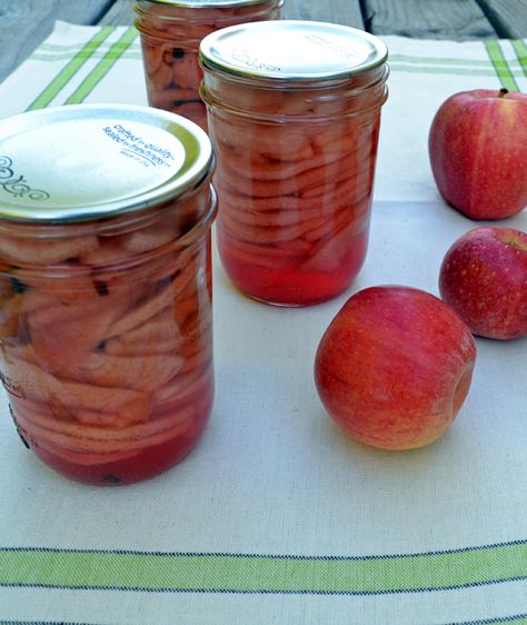 Spiced Apple Rings Spiced Apple Rings, Spiced Apples Recipe, Apple Recipes For Canning, Candied Apples Slices, Cinnamon Apple Rings, Oven Dried Strawberries, Pickled Apples, Apple Slice Recipe, Apple Rings