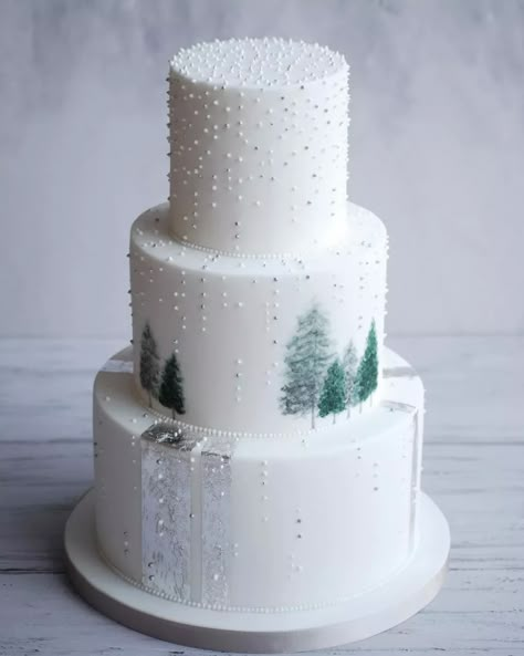 Wedding Ideas For Winter, Sylvester Party, Winter Wedding Cakes, Christmas Wedding Themes, Winter Wonderland Cake, Christmas Wedding Cakes, Winter Wedding Cake, Winter Cake, Winter Wedding Decorations