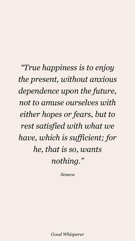 True Happiness Quotes, Seneca Quotes, Enjoy The Present, Happiness Quote, True Happiness, Happiness Is, The Present, The Future, Cards Against Humanity