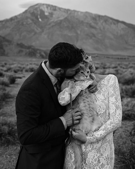 I’m cat-sitting this week so let’s talk about eloping with pets! There’s nothing quite like inviting your furriest family members on your photoshoots. Or yes, even on your wedding day! So how can you make the most out of bring your pet along on the big day? 🐱 Bring a leash 🐈 Check local restrictions 🐈‍⬛ Be wary of triggers 🐱 Check the weather 🐈 Bring toys and treats 🐈‍⬛ Be prepared for candids 🐱 Bring a lint roller and disposable baggies 🐈 Be patient and have fun Would you bring your pet... Wedding Photos With Cats, Cat Family Photos, Cat In Wedding, Cat Family Photo, Wedding Fur, Cat Wedding, Baby Shoot, Lint Roller, Cat Photography