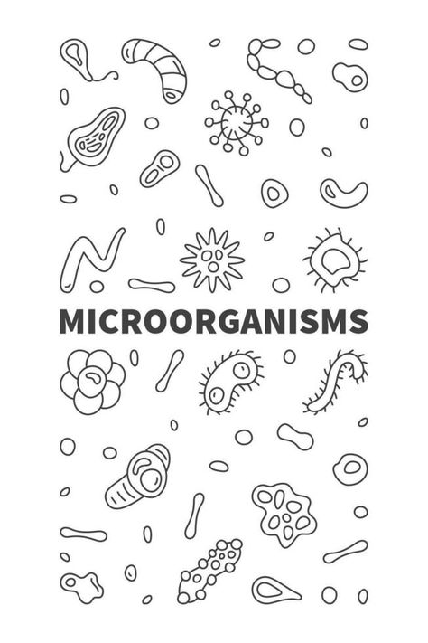 Microorganisms vector Micro Organisms concept line vertical banner with Microorganism outline symbols Micro Organisms, Vertical Banner, Vector Doodle, Vector Free, Doodles, Clip Art, Quick Saves