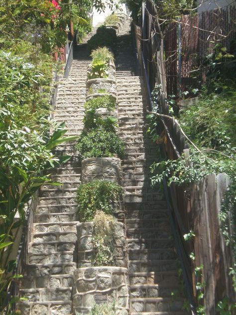 Beachwood Canyon stairs hike Ideas For Stairs, San Diego Bucket List, Beachwood Canyon, Stairs Workout, Stairs In Kitchen, Los Angeles Parks, Hardwood Stairs, Topanga Canyon, Laurel Canyon