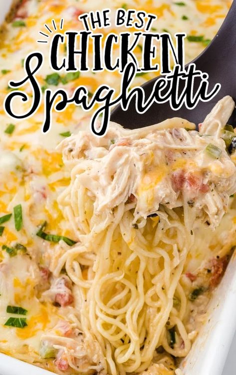 Creamy Chicken Spaghetti Recipe, Best Chicken Spaghetti, Best Chicken Spaghetti Recipe, Baked Spaghetti And Meatballs, Baked Chicken Spaghetti, Chicken Spaghetti Recipe, Chicken Spaghetti Casserole, Spaghetti Ingredients, Spaghetti Recipes Easy