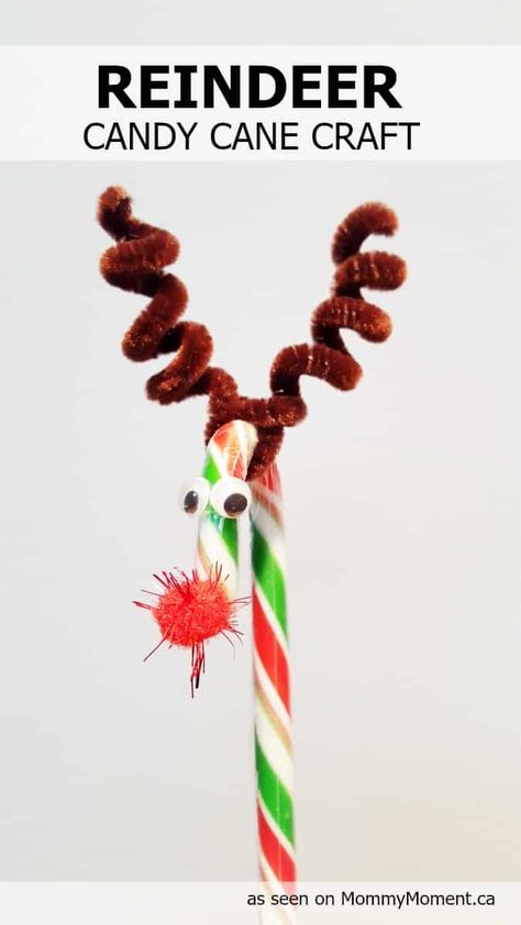 Candy Cane Craft, Reindeer Candy, Candy Cane Reindeer, Candy Cane Crafts, Reindeer Craft, Candy Crafts, Easy Christmas Crafts, Christmas Candy Cane, Craft For Kids