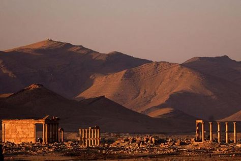 A view of Palmyra in 2006. Palmyra Syria, Deserts Of The World, Roman City, Beaches In The World, Ancient Ruins, Ancient Rome, Ancient Romans, Ancient Cities, Unesco World Heritage