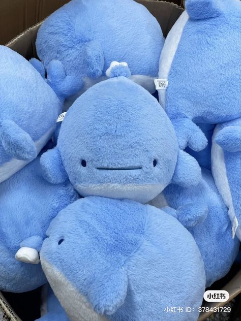 Shark Stuffy, Ocean Squishmallows, Blue Plushie, Shark Toys, Fall In Line, Cute Shark, Cute Stuffed Animals, Make Your Bed, Cute Plush