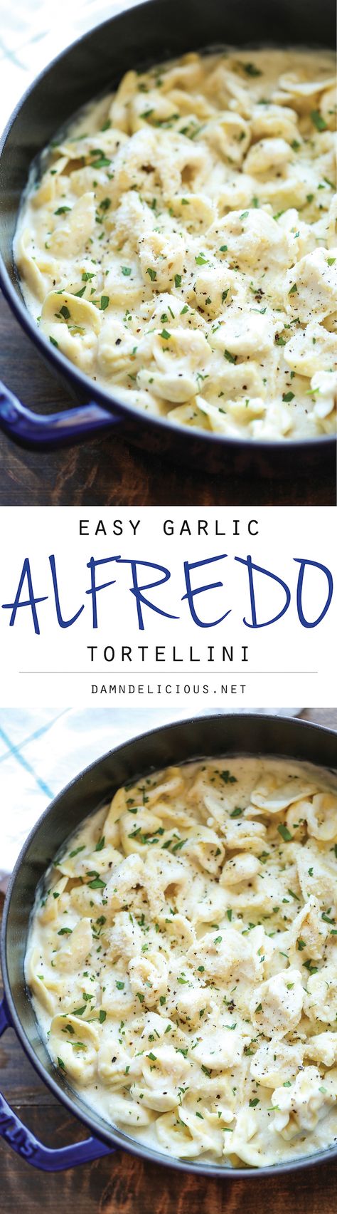 Easy Garlic Alfredo Tortellini - So simple, so easy, and just amazingly creamy. Best of all, it comes together in just 20 min from start to finish! Alfredo Tortellini, Tortellini Recipes, Cheese Tortellini, Good Eat, Think Food, Goulash, Alfredo Sauce, Spaghetti Squash, Italian Dishes