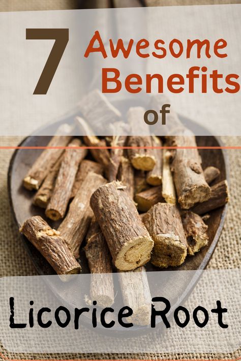 Discover the awesome benefits of licorice root and various ways of working with this wonder herb including teas, tinctures and supplements. Licorice Root Extract Benefits, Egyptian Licorice Tea Benefits, Benefits Of Licorice Root, Benefits Of Licorice Root Tea, Licorice Root Tea Benefits, Chaney Root Benefits, Licorice Tea Benefits, Wellness Basket, Licorice Benefits