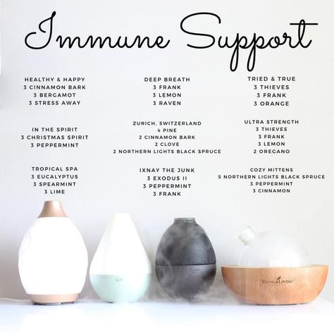 Simmer Pots, Essential Oil Combinations, Essential Oil Diffuser Recipes, Oil Diffuser Recipes, Cinnamon Bark, Diffuser Blend, Diffuser Recipes, Zurich Switzerland, Immune Support