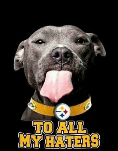 Steelers Decor, Steelers Images, Pittsburgh Steelers Wallpaper, Steelers Pics, Steelers Women, Steelers Country, Fsu Football, Here We Go Steelers, Steelers Baby