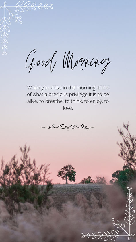 Good morning! 🌞 Just wanted to say how grateful I am to be alive and well today. Every new day is a blessing and an opportunity to embrace the beauty around us. Wishing you a wonderful day filled with positivity and joy!#Grateful #Blessed #GoodMorning #NewDay #Positivity #JoyfulLiving #Thankful #EmbraceLife Remember How Blessed You Are, Realize How Blessed You Are, Waking Up Blessed Quotes, I Have Been Blessed Quotes, Waking Up Is A Blessing Quotes, Goodmorning Blessed, Blessed Day, Embrace Life, Wonderful Day