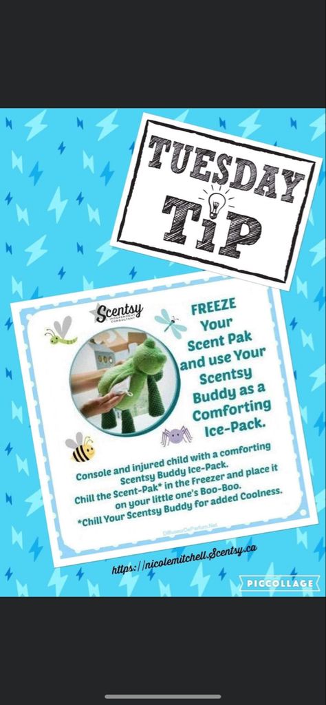 Scentsy Tip Tuesday Posts, Scentsy Tuesday Tips, Tuesday Scentsy Post, Scentsy Tip Tuesday 2023, Scentsy Tip Tuesday, Tuesday Scentsy, Scentsy Sample Ideas, Scentsy Games, Scentsy Recipes