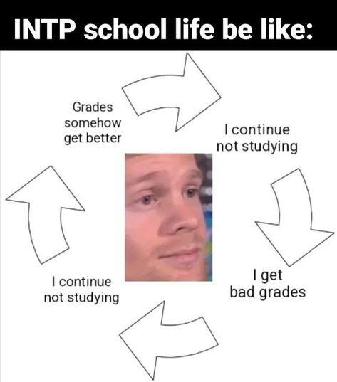 Intp T Meme, Intp Personality Characters, Intp Memes Funny, Intp X Infj, Enfp X Intp, Enfj Intp, Intp X Entp, Intp 5w6, Enfp Intp