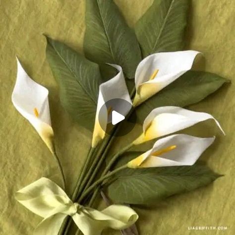 White Calla Lilies, Flower Planting, Calla Lilies, Crepe Paper, Calla Lily, How To Grow, Planting, Paper Flowers, To Grow