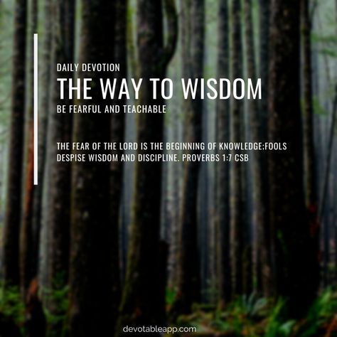 Proverbs 1, Proverbs 17 17, Daily Devotion, Wise Person, Daily Devotions, Fear Of The Lord, Inner Healing, Spiritual Warfare, Daily Devotional