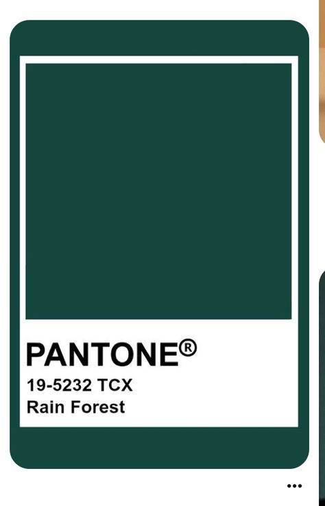 Pantone Rain Forest, Green Pantone Palette, Burnished Winter, Pantone Green, Pantone Colour Palettes, Pantone Colors, Royal Green, Uk Homes, Tropical Rainforest