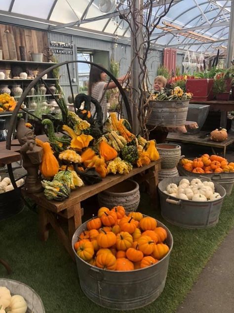 Pumpkin Store Display, Store Pumpkin Display, Fall Farmstand Displays, Fall Farm Stand Ideas, Farmers Market Pumpkin Display, Garden Center Merchandising, Fall Garden Center Displays, Garden Center Fall Displays, Pumpkin Displays Retail