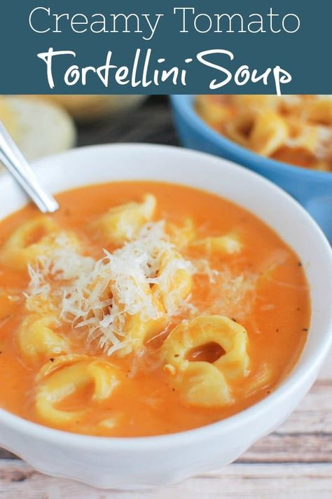 Creamy Tomato Tortellini Soup - delicious creamy tomato soup with cheese tortellini! Quick and easy, perfect for a weeknight meatless meal! Creamy Tomato Tortellini Soup, Creamy Tomato Tortellini, Fake Ginger, Tomato Tortellini, Tomato Tortellini Soup, Pasta Soup, Tortellini Soup, Cheese Soup, Soup And Sandwich