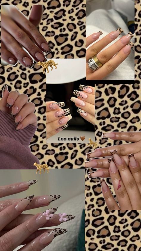 🐆🐆🐆🐆🐆 Leo Nails, Nails