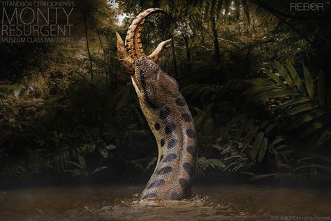 New Rebor Titanoboa Models Ready to Pre-order Titanoboa Snake, Dinosaurs Extinction, Wild Animals Photography, Dinosaur Pictures, Cool Dragons, Snake Art, Beautiful Snakes, Prehistoric Creatures, Animal Species