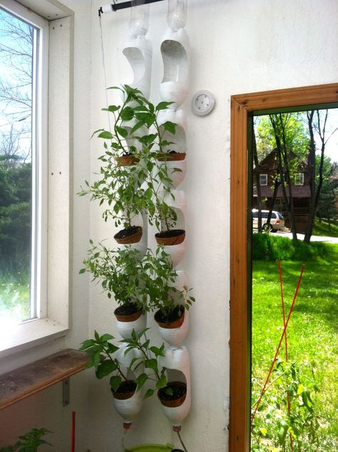 Having your favorite fresh herbs close by for cooking is possible, even if you don't have lots of space. Just create a vertical herb garden! See our ideas. Reuse Plastic Bottles, Vertical Garden Design, Vertical Vegetable Garden, Vertical Herb Garden, Vertical Garden Diy, Tower Garden, Diy Macrame Plant Hanger, Fabulous Diy, Bottle Garden