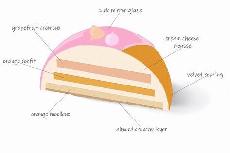 Detailed schematic diagram of cake with description of layers, on white background. Citrus Cheesecake, Cheesecake Popsicles, Bakery Business Plan, Fancy Desserts Recipes, Schematic Diagram, Dessert Station, Tart Dessert, Creative Cake Decorating, Cheesecake Cake