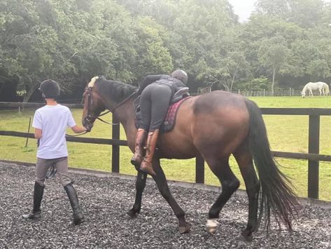 Horse Lunging, Lunging Horse, Equestrian Friends, Mustang Makeover, Horse Training Ground Work, Horse Walking, Horse Lead, Show Jumping Horses, Star Stable