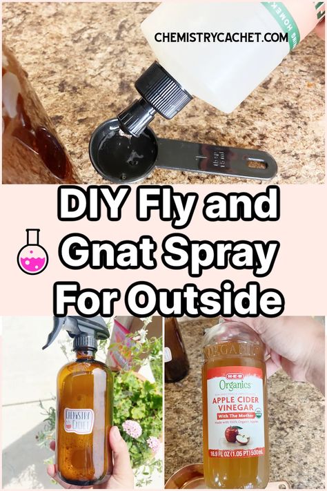 Check out our easy DIY fly and gnat repellent spray for outside! These simple and safe ingredients will help keep the flies away from you this season. It also helps with gnats. We share the science on why it works too Diy Gnat Spray, Gnat Repellant, How To Repel Flies, Diy Flies Repellent, Fly Remedies, Fly Repellant Diy, Gnat Spray, Repel Flies, Ant Spray