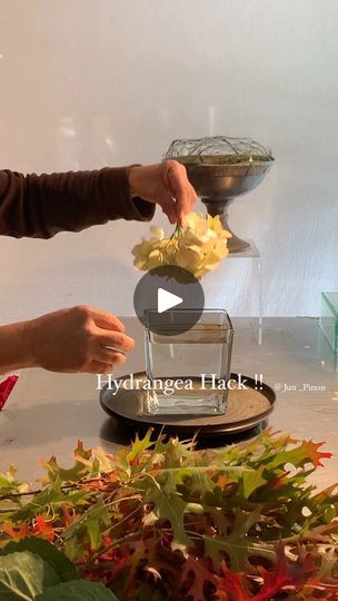 15K views · 572 reactions | Ever wondered why faux hydrangeas make the perfect anchor for flower arrangements? 🌸 They’re sturdy, keep their shape, and—best of all—no mildew when used in water! Whether you’re designing a show-stopping event centerpiece or a gorgeous home display, faux hydrangeas give you the beauty without the mess. Say goodbye to wilting and murky water, and hello to hassle-free, long-lasting blooms! 💧✨ 
.
.
.
#FloralDesignTips #FauxFlowers #FlowerArranginHack #flowerworkshop #flowerarranging #jun_pinon #freshflowers #dailyinspo #flowers #fresh #flowerworkshop | P. Pinon Jr Diy Floral Centerpieces, Murky Water, Hydrangea Centerpiece, Event Centerpiece, Faux Hydrangea, Floral Centerpieces, Faux Flowers, In Water, Fresh Flowers