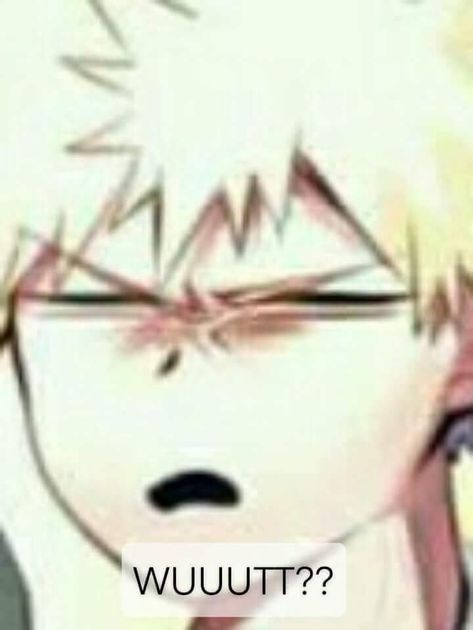 Reaction image Boku no hero academia  Confused Bakugou Bakugo X Reader, X Reader, This World, Three Dimensional, Books, Anime