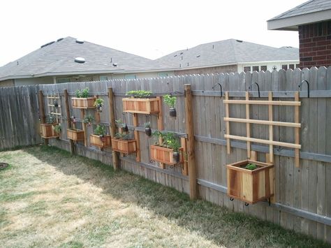 Vegetable and Herb garden on the fence.  Easy to hang, not too costly.  Veggies in boxes, herbs in mason jars. Vegetable And Herb Garden, Hanging Herb Gardens, Herb Garden Pallet, Fenced Vegetable Garden, Vertical Vegetable Gardens, Hanging Herb Garden, Diy Garden Fence, Hanging Herbs, Vertical Vegetable Garden