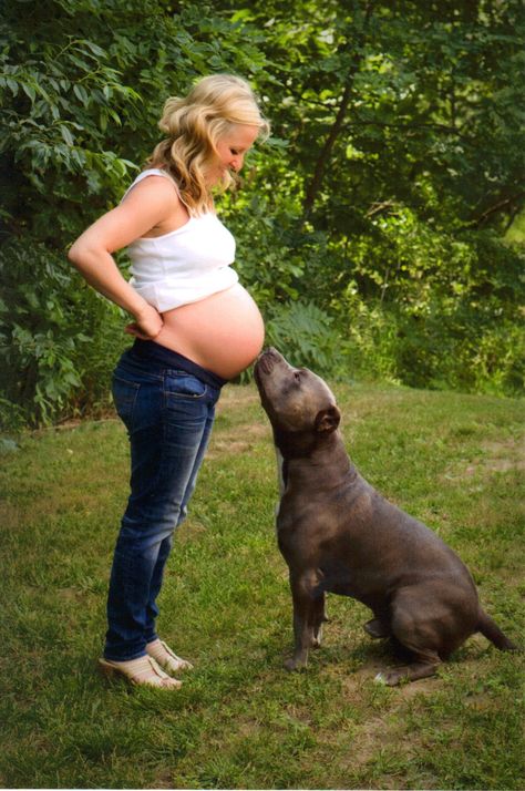 Photos With Dog, Awesome Animals, Pit Bull Love, Pregnant Woman, Pregnancy Shoot, Maternity Pictures, Mans Best Friend, Pregnancy Photos, Baby Pictures