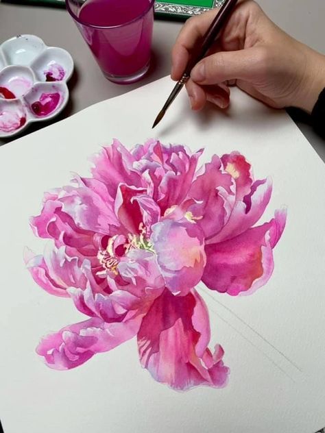 Peony Flower Drawing, Art Journal Ideas, Peony Watercolor, Painting Roses, Peony Art, Easy Acrylic Painting, Dream Painting, Watercolor Video, Peony Painting