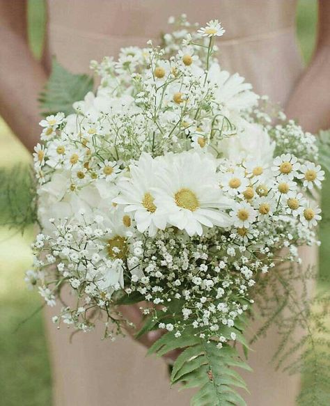 Bridesmaid's Pretty Bouquet Featuring: White/Yellow Daisies, White/Yellow Chamomile, White Gypsophila & Green Fern×××× Lily And Baby Breath Bouquet, Lily And Daisy Bouquet, Wedding Flowers Daisies, Bridal Bouquet Calla Lillies, Daisy Wedding Bouquet, Daisy Bouquets, Ladies Tea, Daisy Wedding, Daisy Bouquet