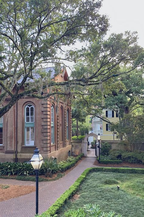 Southern College Aesthetic, College Of Charleston Aesthetic, Charleston College, Charleston South Carolina Aesthetic, Charleston Sc Aesthetic, Charleston Southern University, South Carolina Aesthetic, Charleston Aesthetic, Charleston Things To Do