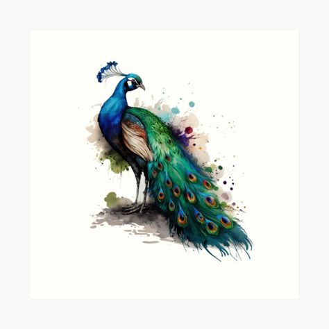 Watercolor Peacock, Peacock Canvas, Peacock Pictures, Peacock Wall Art, Peacock Painting, Peacock Art, Bird Wall Art, Watercolor Animals, Birds Painting