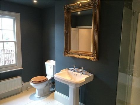 Here's a photo of a townhouse bathroom I've just finished. Downpipe on the ceiling and walls with shaded white on floor and skirting. Downpipe Bathroom, Moody Bathrooms, Townhouse Bathroom, Ball Inspiration, Inchyra Blue, Downstairs Cloakroom, Hallway Colours, Kid Bathroom Decor, Bathroom Decor Themes