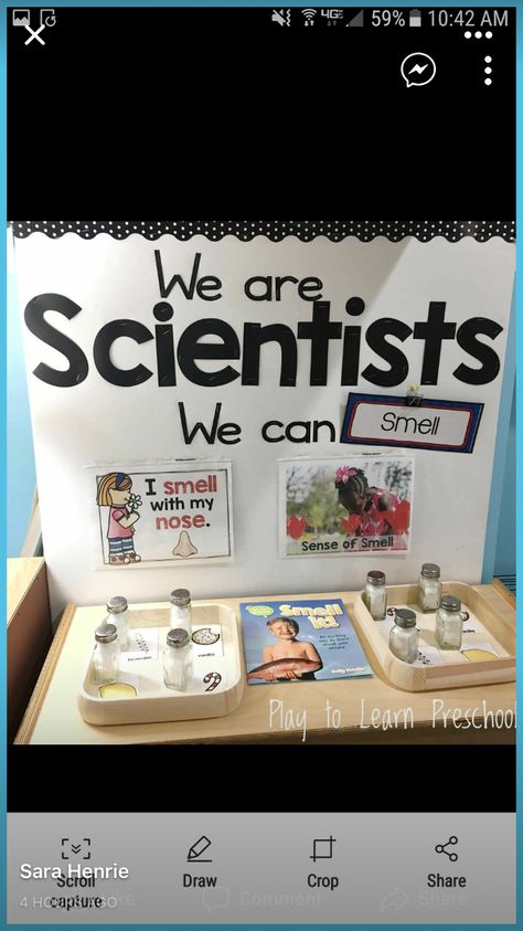 We Are Scientists Preschool, Prek Science Centers, Science Center Preschool, Prek Science, Science Table, Pre-k Science, Science Area, We Are Scientists, Senses Preschool