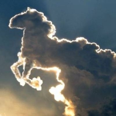 Amazing Nature: Clouds That Look like Animals ... Real Unicorn, Cloud Shapes, Like Animals, A Unicorn, Beautiful Sky, A Horse, The Clouds, Amazing Nature, Mother Nature