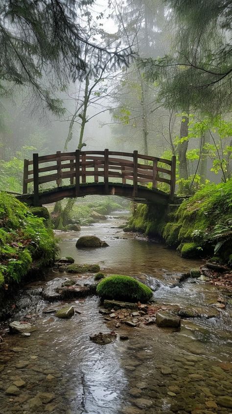 Download 'Misty Forest Bridge' - A serene wooden bridge stretches over a tranquil stream in a misty, lush green forest setting. - Get this free stock photo and more high-quality images on StockCake. No attribution required. Lake In Woods, Bridge Over Stream, Forest Bridge, Forest Creek, Lush Green Forest, Forest Clearing, Background References, Pretty Scenery, Forest Setting