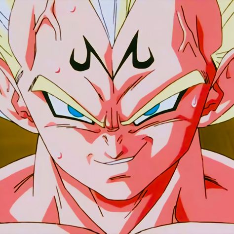 Majin Vegeta, Dragon Ball