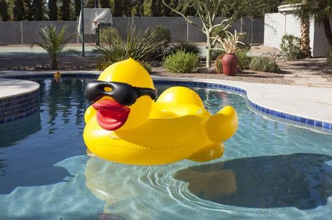 Pin for Later: This Pool Accessory Will Give Your Backyard Music-Festival Style  Derby Duck ($60) Large Pool Floats, Duck Float, Pool Floaties, Pool Rafts, Swimming Pool Floats, Inflatable Pool Floats, Pool Lounger, Pool Games, Giant Inflatable